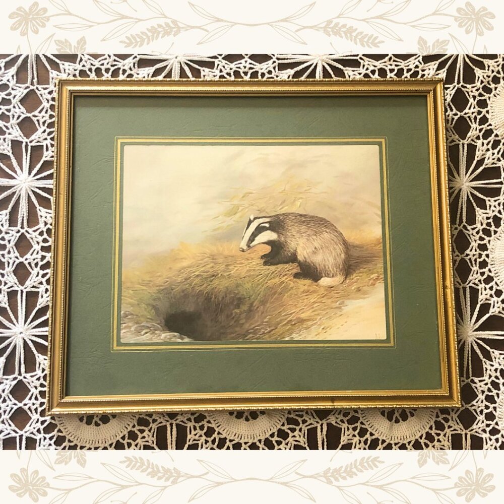 Vintage Mike Nance Wildlife Badger Print